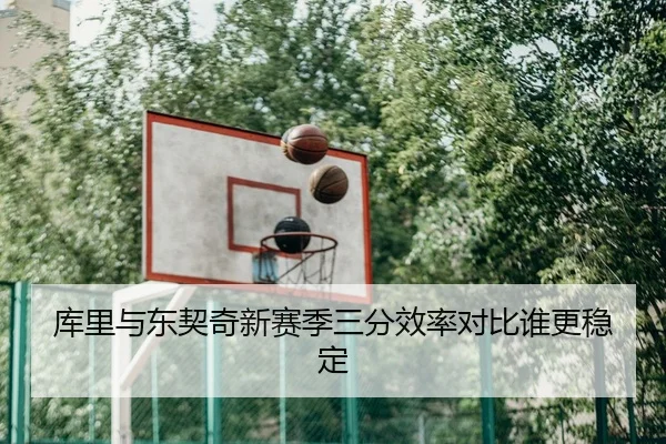 库里与东契奇新赛季三分效率对比谁更稳定