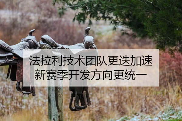 法拉利技术团队更迭加速 新赛季开发方向更统一